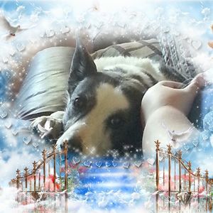 Meet your Posher, Terri